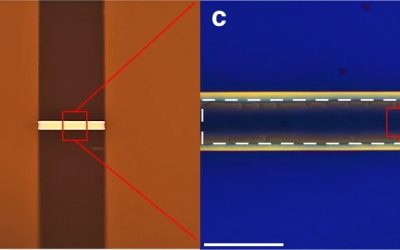 Experiments reveal the physics of evaporation