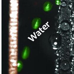 Nenad, Dan and Ryan’s work on harvesting energy from jumping droplets featured in Frontiers in Energy Research