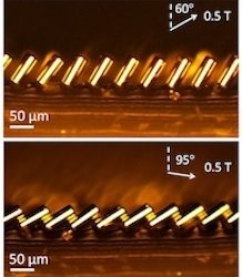 Congratulations to Yangying, Dion, and Rong for a new published in Advanced Materials.